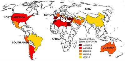 The Representativeness of Olea Pollen from Olive Groves and the Late Holocene Landscape Reconstruction in Central Mediterranean